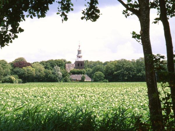 Pieterburen landschap