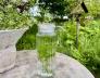Rondwandeling langs eetbare planten en bloemen