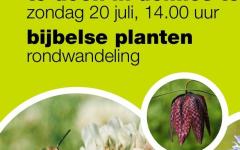 Rondwandeling langs Bijbelse planten